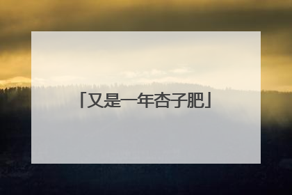 又是一年杏子肥