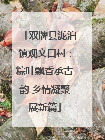 双牌县泷泊镇观文口村：粽叶飘香承古韵 乡情凝聚展新篇