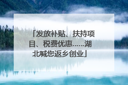 发放补贴、扶持项目、税费优惠……湖北喊您返乡创业