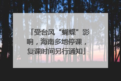 受台风“蝴蝶”影响，海南多地停课，复课时间另行通知