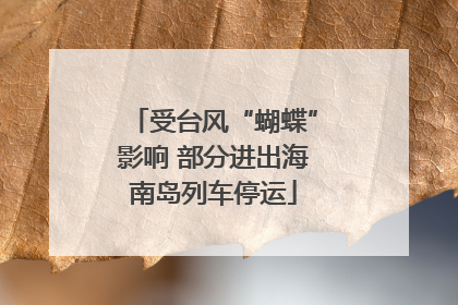 受台风“蝴蝶”影响 部分进出海南岛列车停运