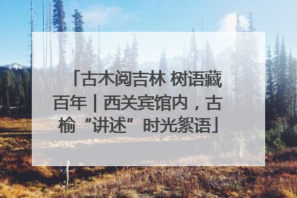 古木阅吉林 树语藏百年｜西关宾馆内，古榆“讲述”时光絮语