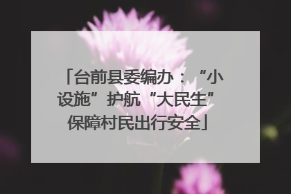 台前县委编办：“小设施”护航“大民生” 保障村民出行安全