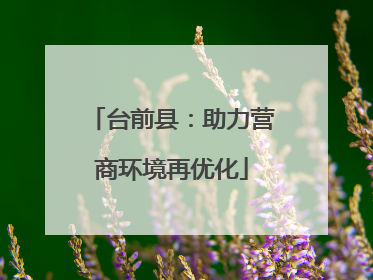 台前县：助力营商环境再优化