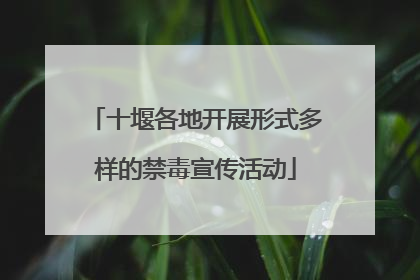 十堰各地开展形式多样的禁毒宣传活动
