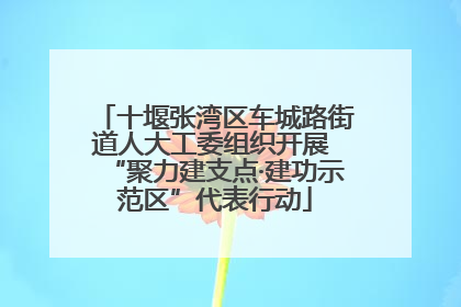 十堰张湾区车城路街道人大工委组织开展 “聚力建支点·建功示范区”代表行动