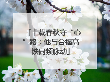 十载春秋守“心”路：他与合福高铁同频脉动