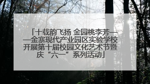 十载韵飞扬 金园桃李芳——金寨现代产业园区实验学校开展第十届校园文化艺术节暨庆“六一”系列活动