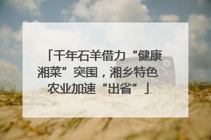 千年石羊借力“健康湘菜”突围，湘乡特色农业加速“出省”