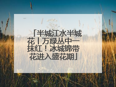 半城江水半城花丨万绿丛中一抹红！冰城锦带花进入盛花期