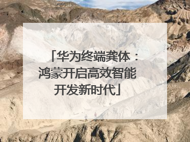 华为终端龚体：鸿蒙开启高效智能开发新时代