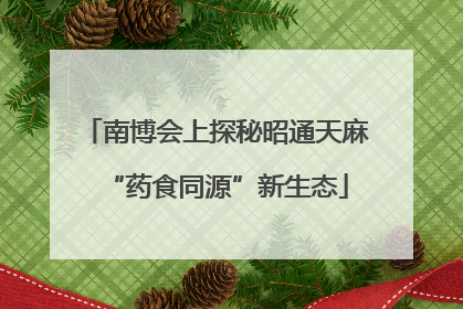 南博会上探秘昭通天麻“药食同源”新生态