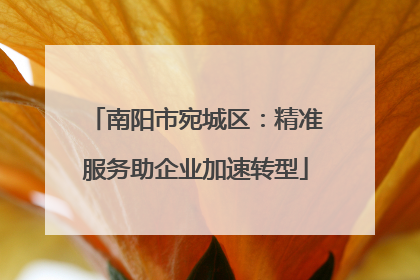 南阳市宛城区：精准服务助企业加速转型