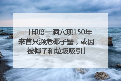 印度一洞穴现150年来首只濒危椰子蟹，或因被椰子和垃圾吸引