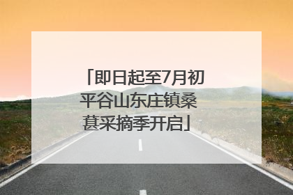 即日起至7月初 平谷山东庄镇桑葚采摘季开启