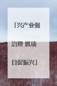 兴产业强治理 抓项目促振兴