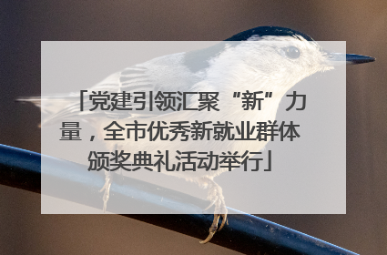 党建引领汇聚“新”力量，全市优秀新就业群体颁奖典礼活动举行