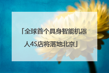 全球首个具身智能机器人4S店将落地北京