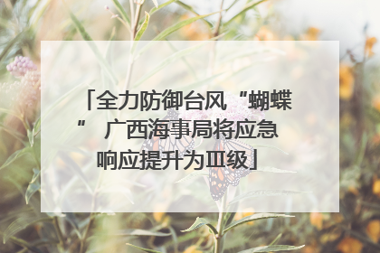 全力防御台风“蝴蝶” 广西海事局将应急响应提升为Ⅲ级