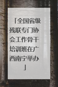 全国省级残联专门协会工作骨干培训班在广西南宁举办