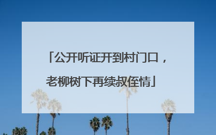 公开听证开到村门口，老柳树下再续叔侄情