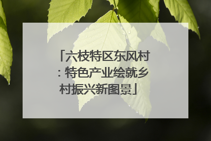 六枝特区东风村：特色产业绘就乡村振兴新图景