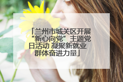 兰州市城关区开展“新心向党”主题党日活动 凝聚新就业群体奋进力量