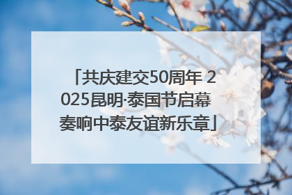 共庆建交50周年 2025昆明·泰国节启幕 奏响中泰友谊新乐章