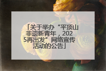 关于举办“平顶山非遗新青年，2025再出发”网络宣传活动的公告