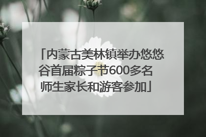 内蒙古美林镇举办悠悠谷首届粽子节600多名师生家长和游客参加