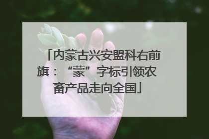 内蒙古兴安盟科右前旗：“蒙”字标引领农畜产品走向全国