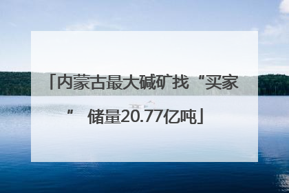 内蒙古最大碱矿找“买家” 储量20.77亿吨