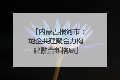 内蒙古根河市：地企共建聚合力构建融合新格局
