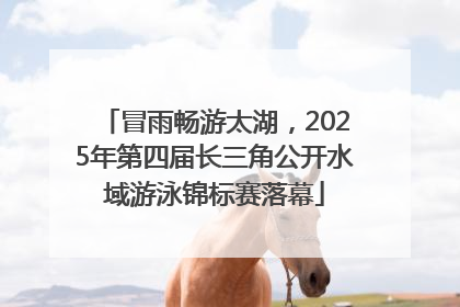 冒雨畅游太湖，2025年第四届长三角公开水域游泳锦标赛落幕