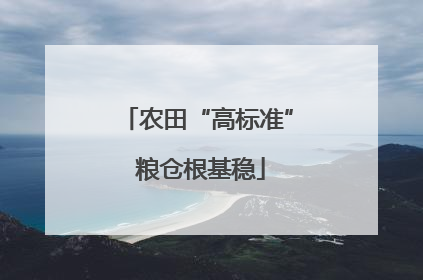 农田“高标准” 粮仓根基稳