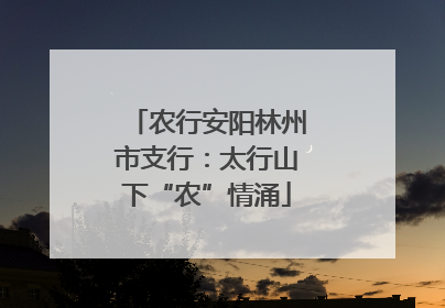 农行安阳林州市支行：太行山下“农”情涌