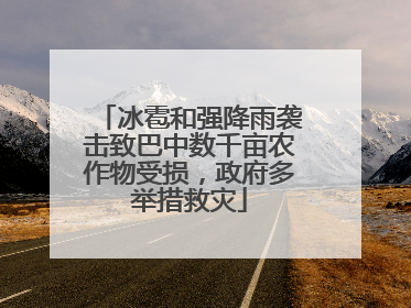 冰雹和强降雨袭击致巴中数千亩农作物受损，政府多举措救灾