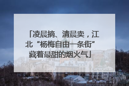 凌晨摘、清晨卖，江北“杨梅自由一条街”藏着最甜的烟火气