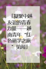凝聚中越友谊的青春力量——越南青年“红色研学之旅”见闻