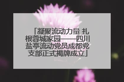 凝聚流动力量 扎根蓉城家园——四川盐亭流动党员成都党支部正式揭牌成立