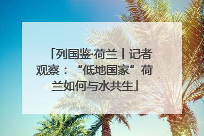 列国鉴·荷兰丨记者观察：“低地国家”荷兰如何与水共生