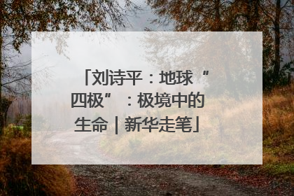 刘诗平：地球“四极”：极境中的生命｜新华走笔