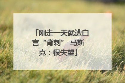 刚走一天就遭白宫“背刺” 马斯克：很失望