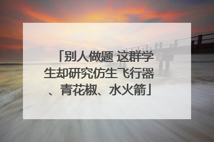 别人做题 这群学生却研究仿生飞行器、青花椒、水火箭