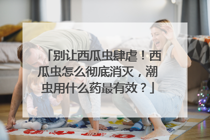 别让西瓜虫肆虐！西瓜虫怎么彻底消灭，潮虫用什么药最有效？