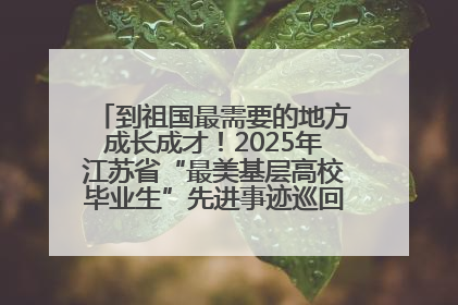 到祖国最需要的地方成长成才！2025年江苏省“最美基层高校毕业生”先进事迹巡回宣讲会在宁启动