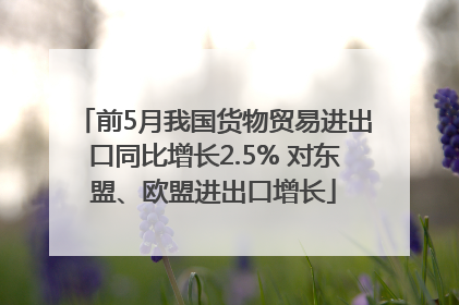 前5月我国货物贸易进出口同比增长2.5% 对东盟、欧盟进出口增长