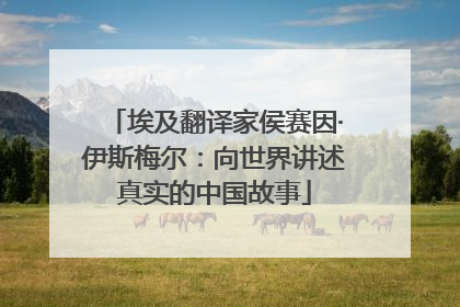 埃及翻译家侯赛因·伊斯梅尔：向世界讲述真实的中国故事