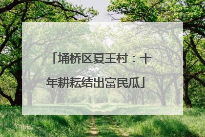埇桥区夏王村：十年耕耘结出富民瓜