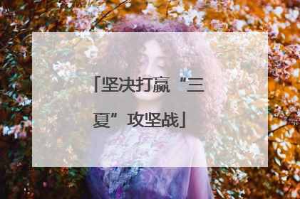 坚决打赢“三夏”攻坚战